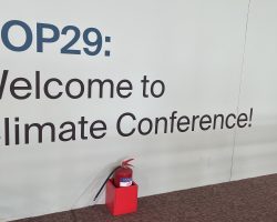 Continued Engagement at COP29