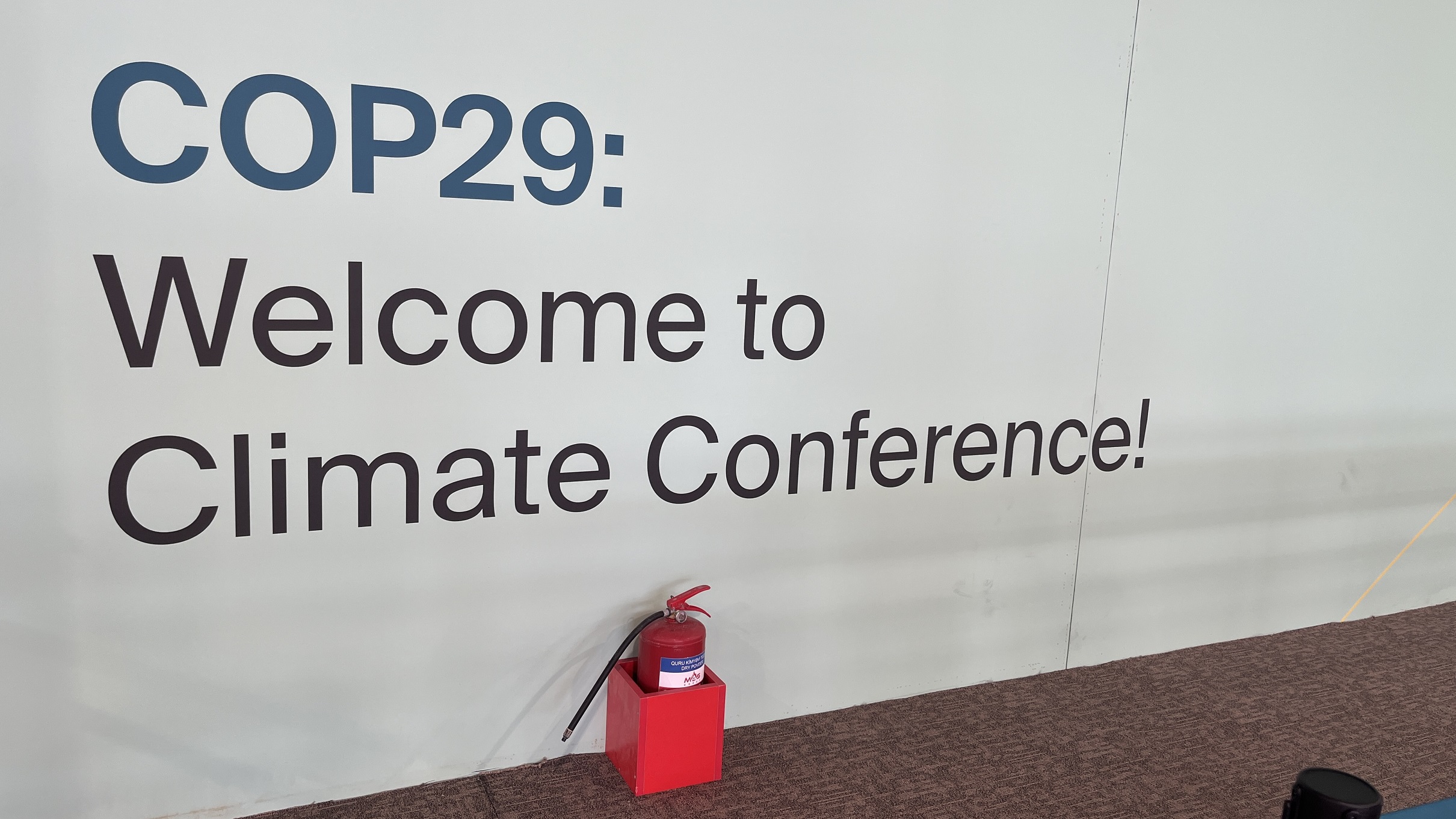 Read more about the article Continued Engagement at COP29